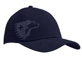 LAPD Navy